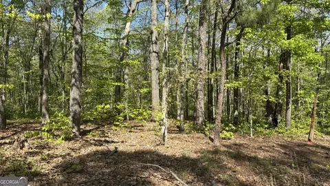 551 Harvey Fields Dr, Canton, GA 30114 photo 12