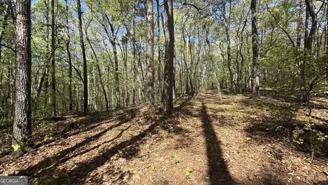551 Harvey Fields Dr, Canton, GA 30114 photo 10
