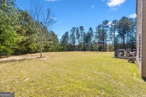 Exterior - 343 Bandelier Cir, Hampton, GA 30228 photo 2 of 2