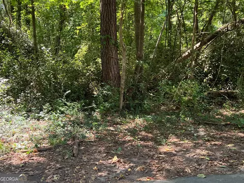 0 Tye, Stockbridge, GA 30281 photo 3