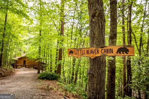 137 Little Beaver Dr, Cherry Log, GA 30522