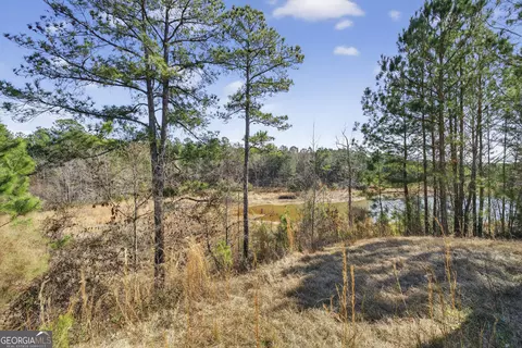 View/Area - 1307 Dayle Ct, Macon, GA 31211 photo 1 of 2