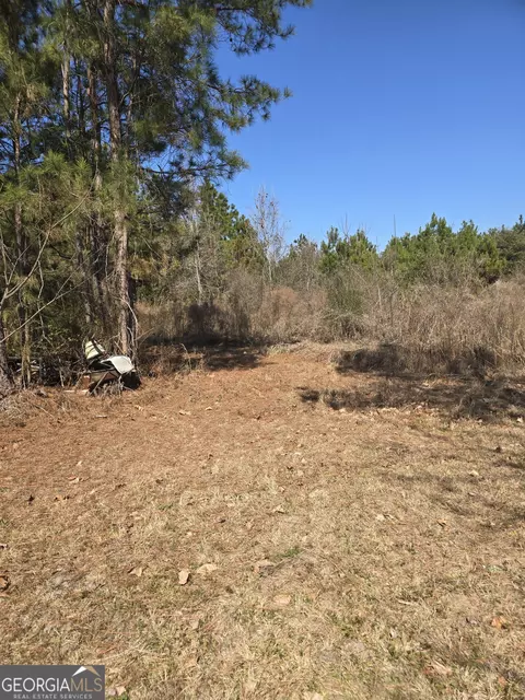 597 Fordham Rd, Brooklet, GA 30415
