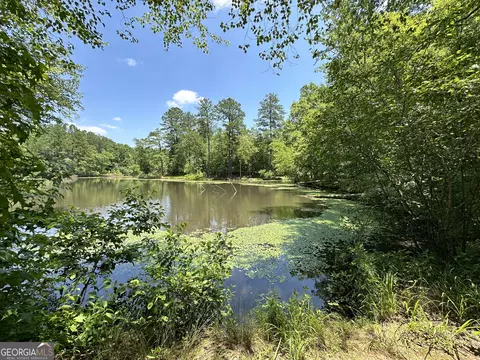 0 Rocky Point Rd, Covington, GA 30014 photo 12