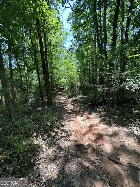 0 Rocky Point Rd, Covington, GA 30014 photo 21