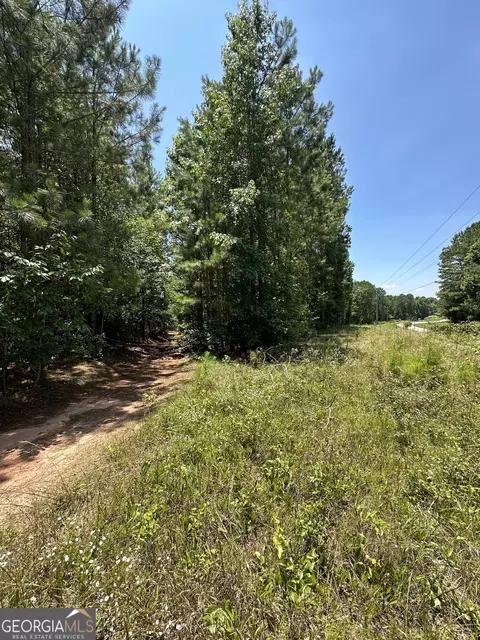 0 Rocky Point Rd, Covington, GA 30014 photo 19