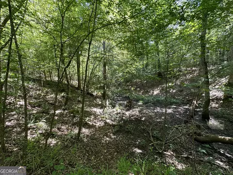 0 Rocky Point Rd, Covington, GA 30014 photo 13