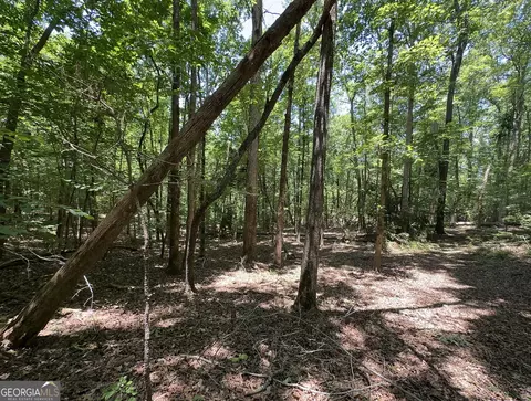 0 Rocky Point Rd, Covington, GA 30014 photo 11