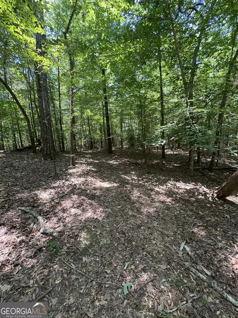 0 Rocky Point Rd, Covington, GA 30014 photo 20