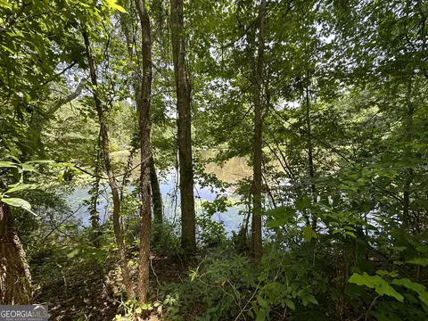 0 Rocky Point Rd, Covington, GA 30014 photo 14