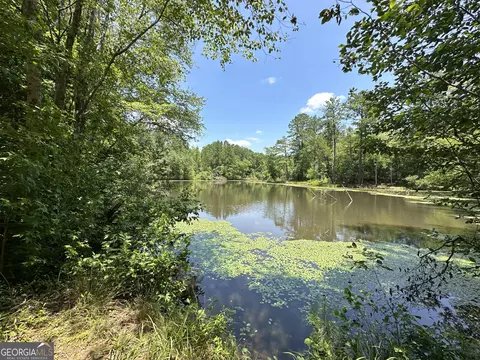 0 Rocky Point Rd, Covington, GA 30014 photo 16