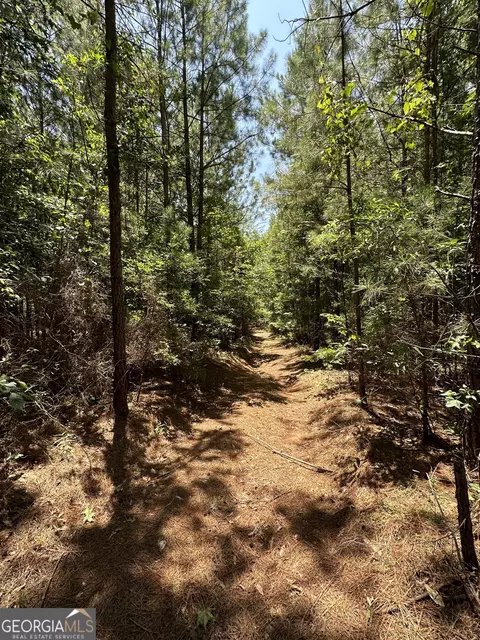 0 Rocky Point Rd, Covington, GA 30014 photo 18