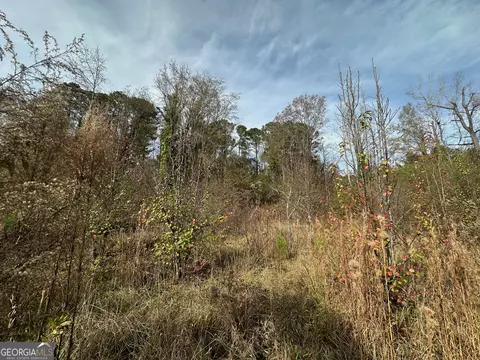 567 George W Towns Rd, Talbotton, GA 31827