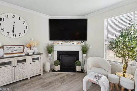 Living - 1417 Stone Ridge Ct, Hampton, GA 30228 photo 1 of 1