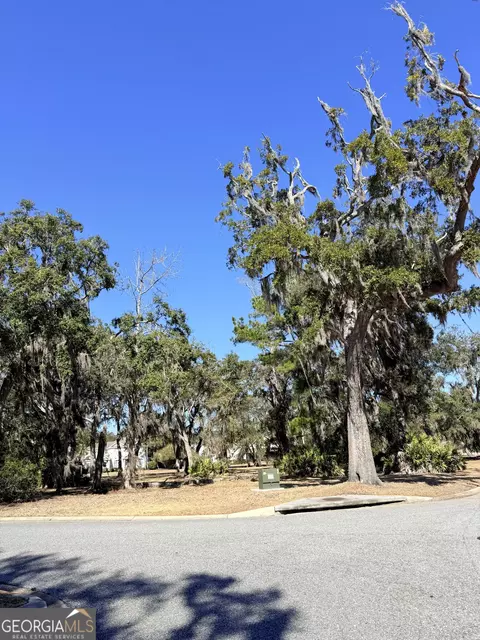 0 Maiden Creek Dr #LOT 60, Waverly, GA 31565