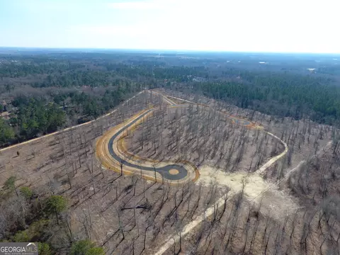 0 Holly Rdg #LOT 1, Dublin, GA 31021 photo 3