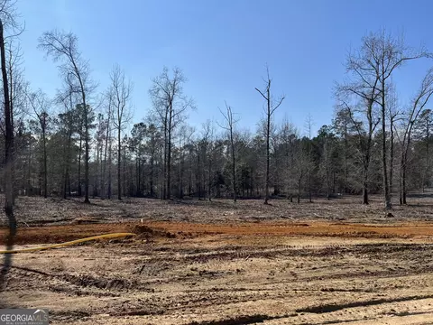 0 Holly Rdg #LOT 1, Dublin, GA 31021 photo 2
