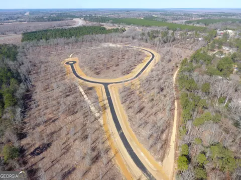 0 Holly Rdg #LOT 1, Dublin, GA 31021 photo 4