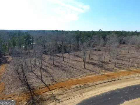 0 Holly Ridge Rd, Dublin, GA 31021