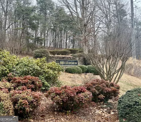 0 Willows Dr, Cleveland, GA 30528