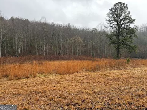 lot42 Whisper Woods Rd, Hiawassee, GA 30546