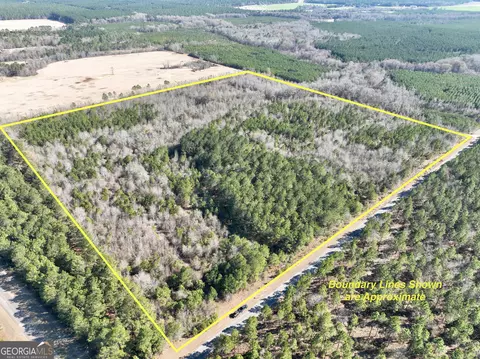 0 Shady Grove Rd, Abbeville, GA 31001