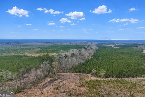 0 Highway 121, Glennville, GA 30427