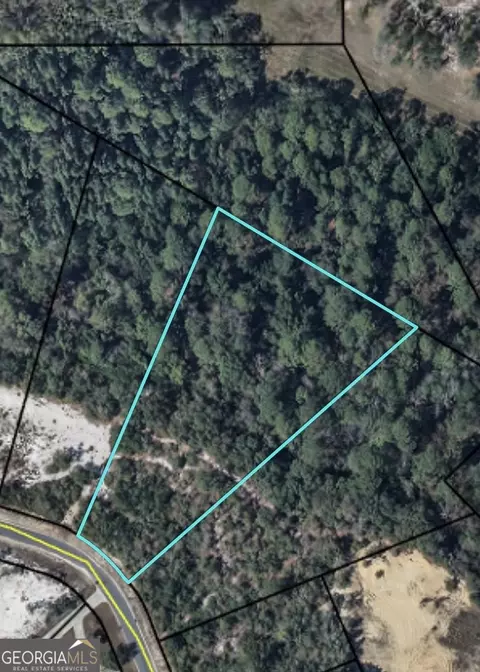 0 Plantation Pines Dr, Blackshear, GA 31516 photo 3