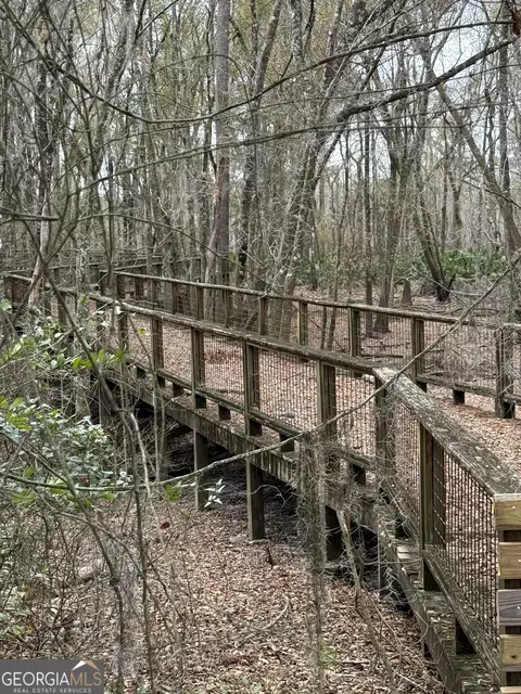 0 Plantation Pines Dr, Blackshear, GA 31516 photo 4