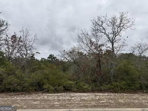 0 Plantation Pines Dr, Blackshear, GA 31516