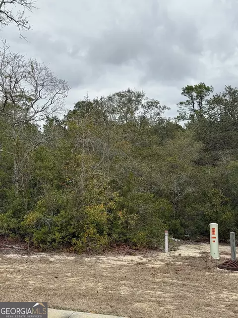 0 Plantation Pines Dr, Blackshear, GA 31516 photo 5