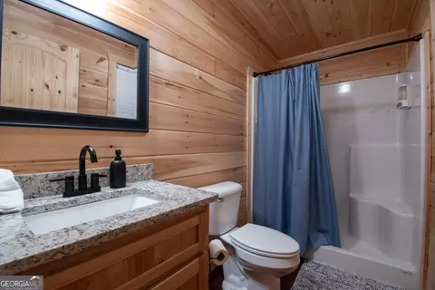 Bath - 132 Lanes Way, Murphy, NC 28906 photo 4 of 6