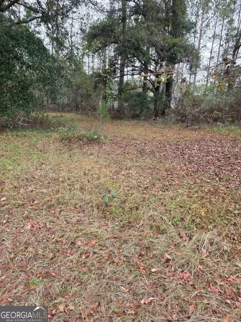 861 Brinson Rd, Brooklet, GA 30415