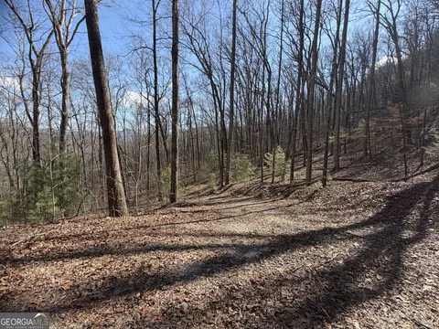 0 Shadow Mountain Dr #32, Dillard, GA 30537 photo 7