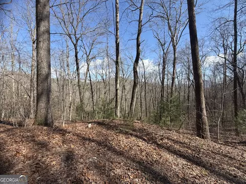 0 Shadow Mountain Dr #32, Dillard, GA 30537 photo 8