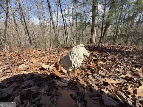 0 Shadow Mountain Dr #32, Dillard, GA 30537 photo 6