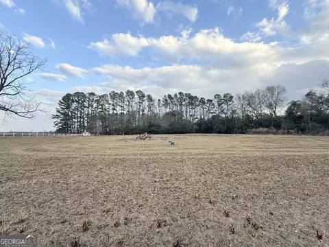 0 Jim Hendrix Ln, Claxton, GA 30417