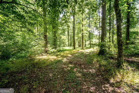 0 Wagers Mill Road Apt 20- Acres Rd #20+/- ACRES, Newnan, GA 30263