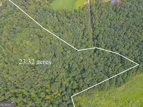 0 Orchard Ln, Talking Rock, GA 30175 photo 23