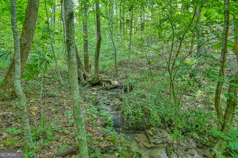0 Orchard Ln, Talking Rock, GA 30175 photo 13