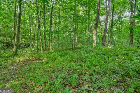 0 Orchard Ln, Talking Rock, GA 30175 photo 12