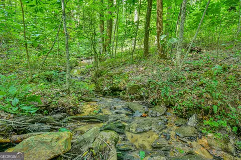 0 Orchard Ln, Talking Rock, GA 30175 photo 15