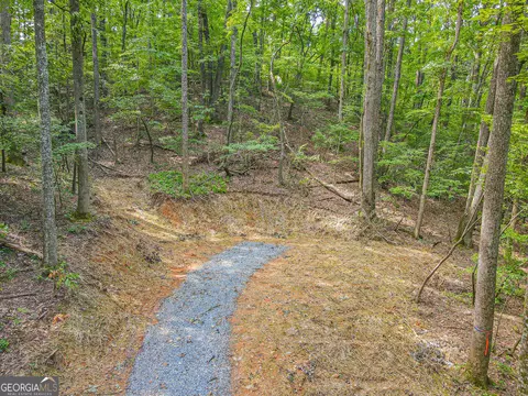 0 Orchard Ln, Talking Rock, GA 30175 photo 9