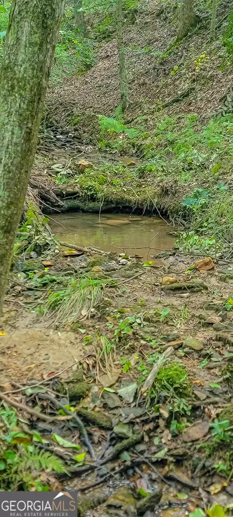 0 Orchard Ln, Talking Rock, GA 30175 photo 20