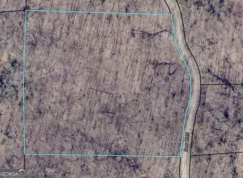 0 Deer Run, Morganton, GA 30560 photo 3