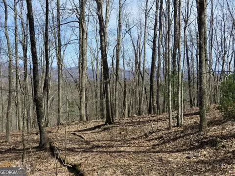 0 Deer Run, Morganton, GA 30560 photo 2