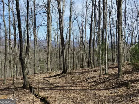 0 Deer Run, Morganton, GA 30560 photo 5