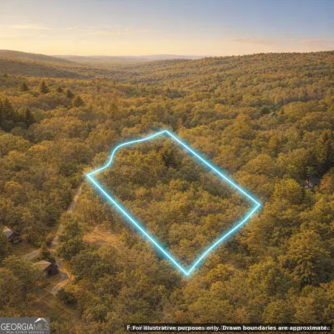 0 Deer Run, Morganton, GA 30560 photo 7