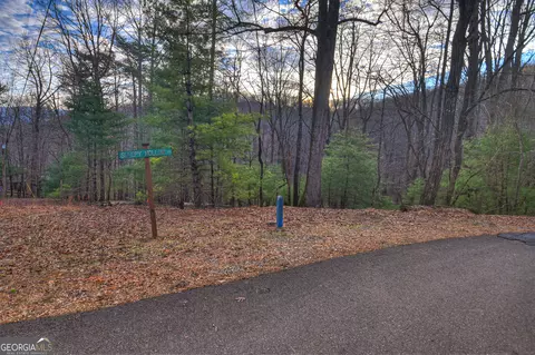 Lt M57 Walnut Mountain Court, Ellijay, GA 30536