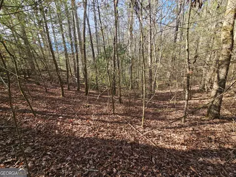 lot77 Roaring Forks Ln #77, Ellijay, GA 30540